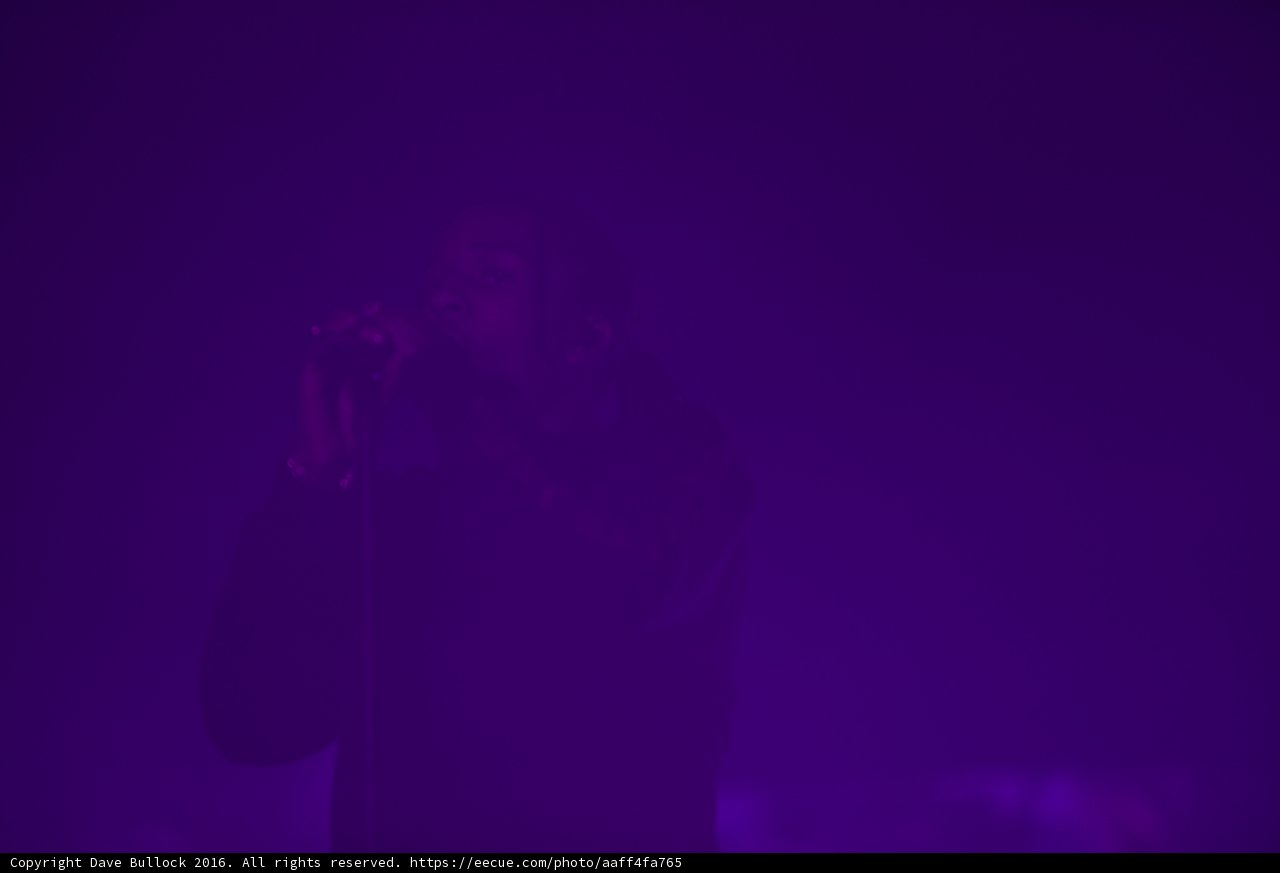 Purple Performance