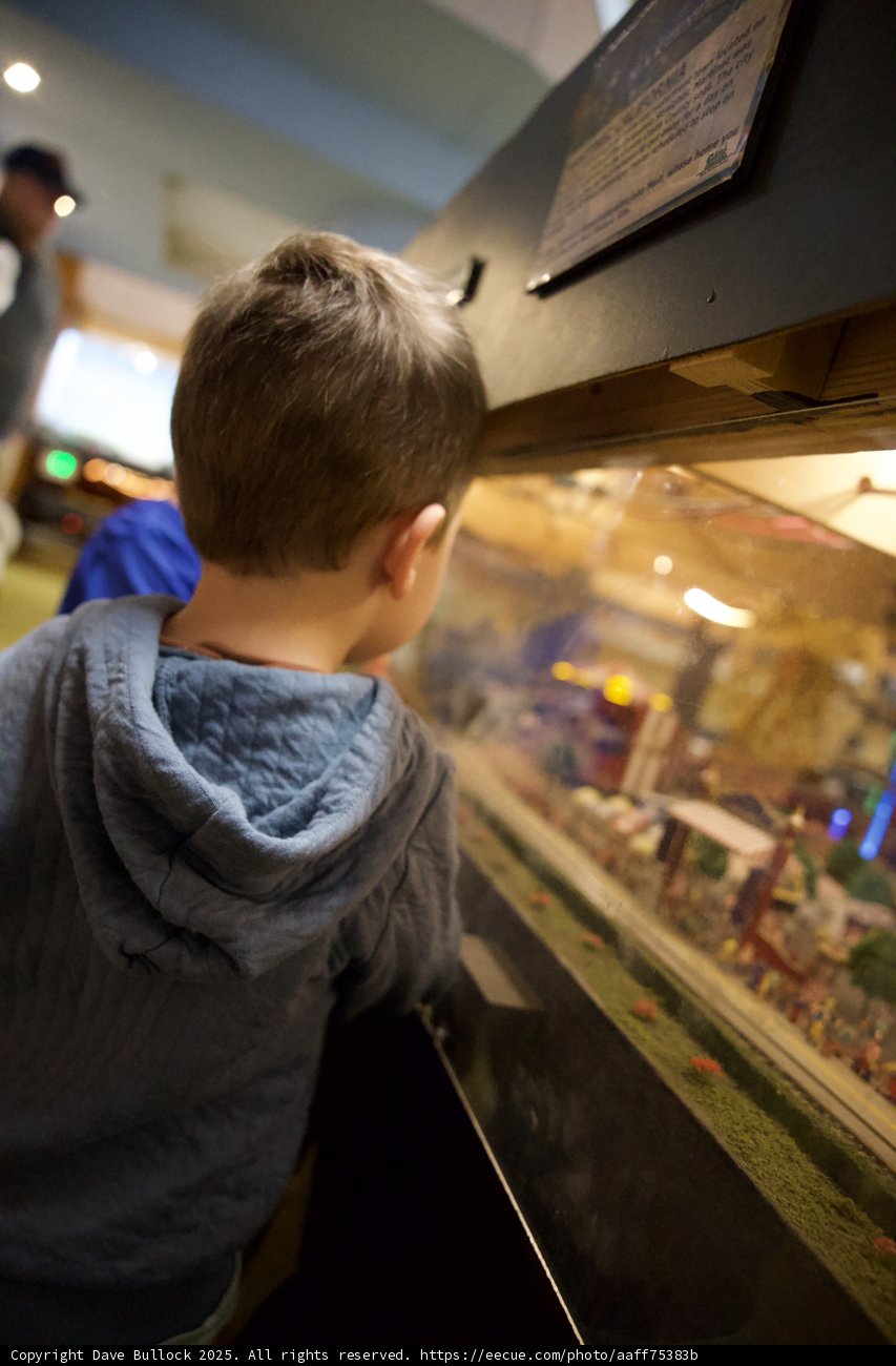 Captivated by Locomotives