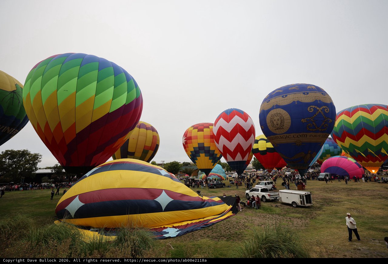 Colorful Hot Air Balloons Fill the Festival Grounds