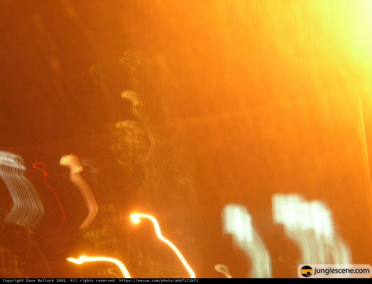 Blurry Night Lights