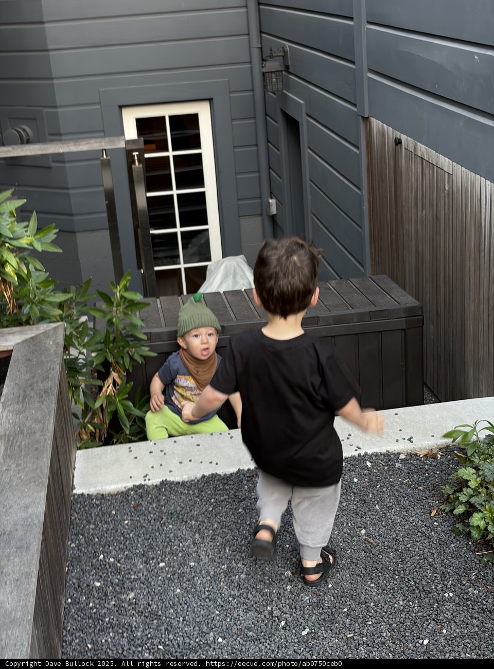 Urban Adventure in the Backyard