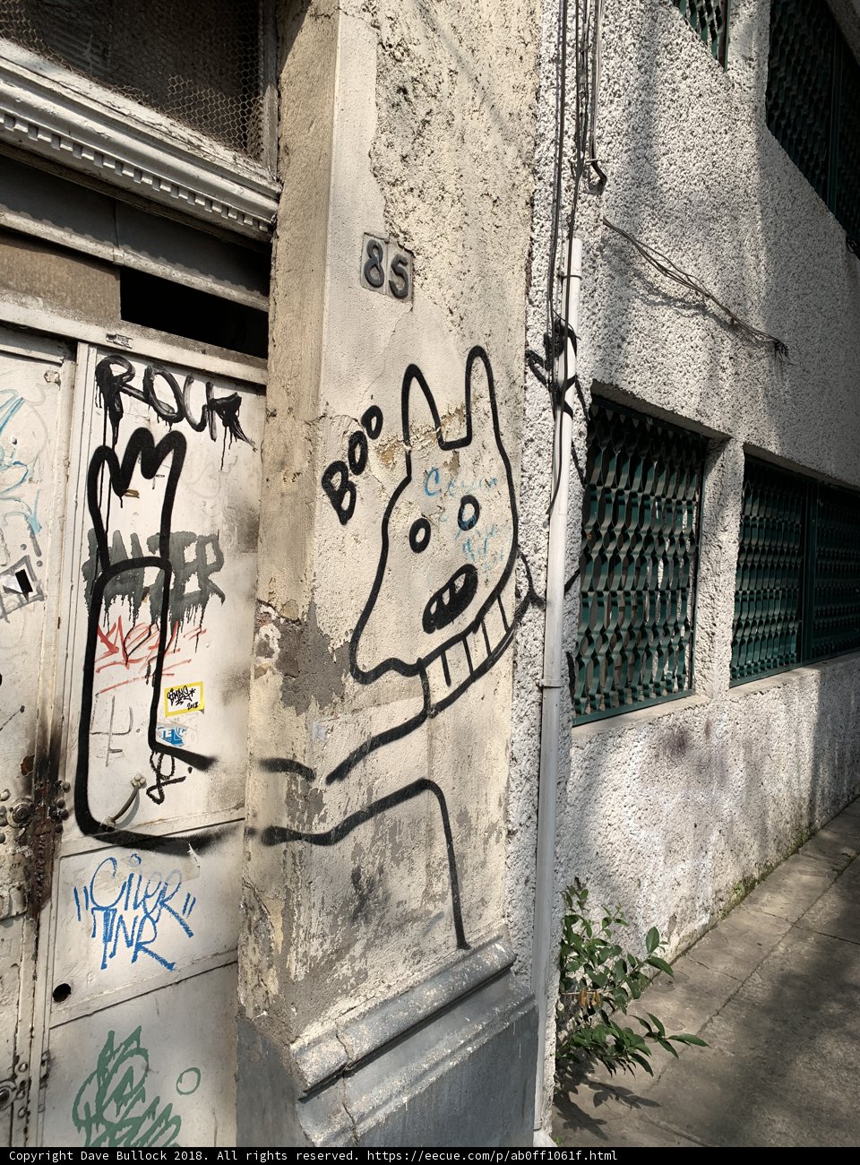 Urban Artistic Canine