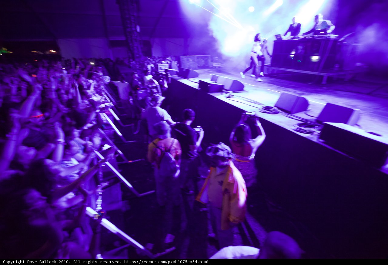Purple Haze at Coachella