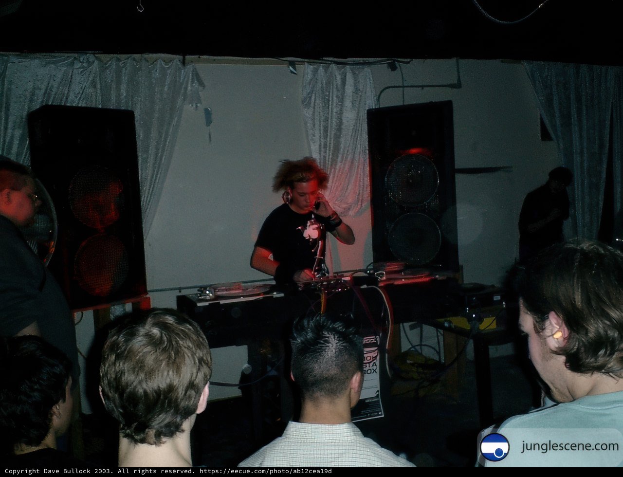 Live Music at an Urban Club