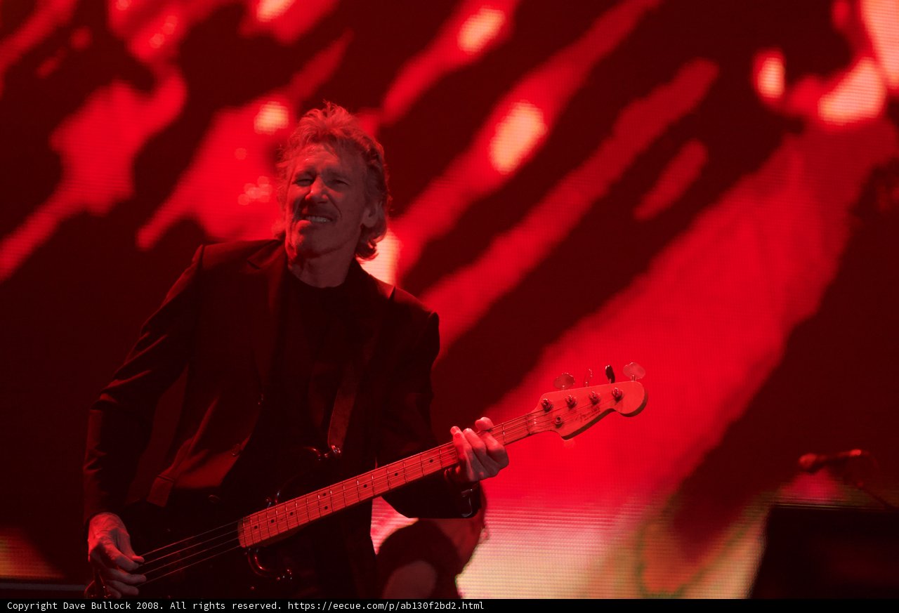 The Bass Player in Red Light
