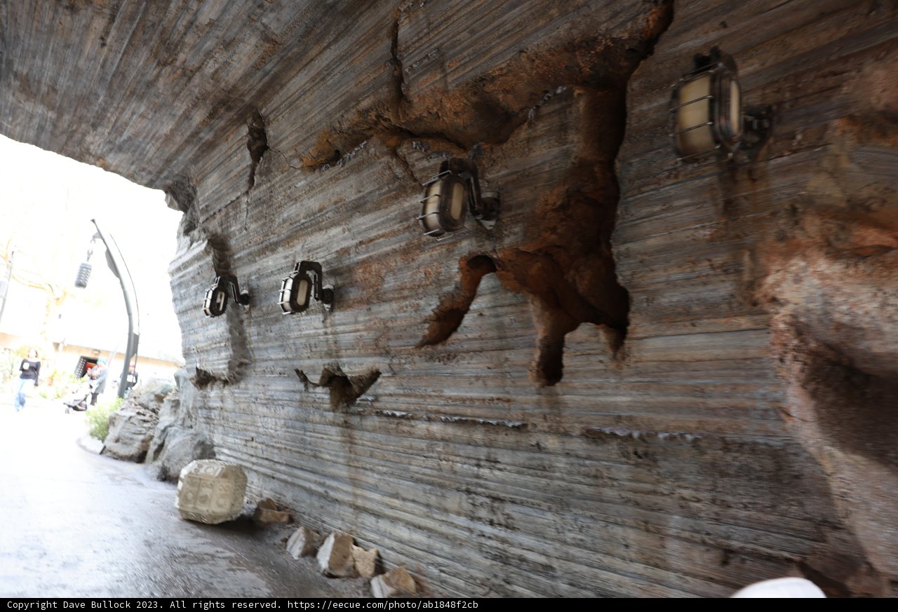 Ancient Bear Wall