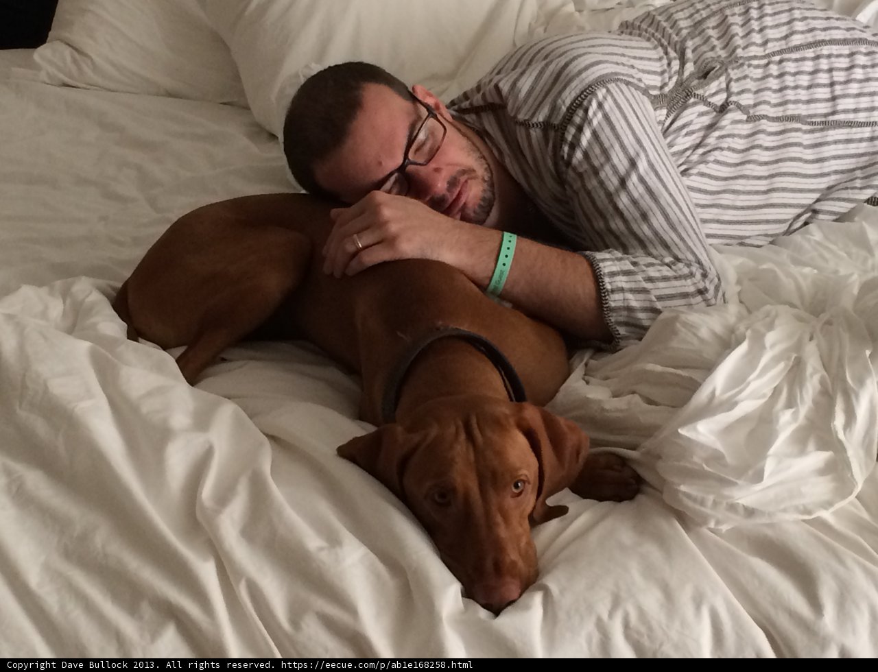 Man's Best Friend