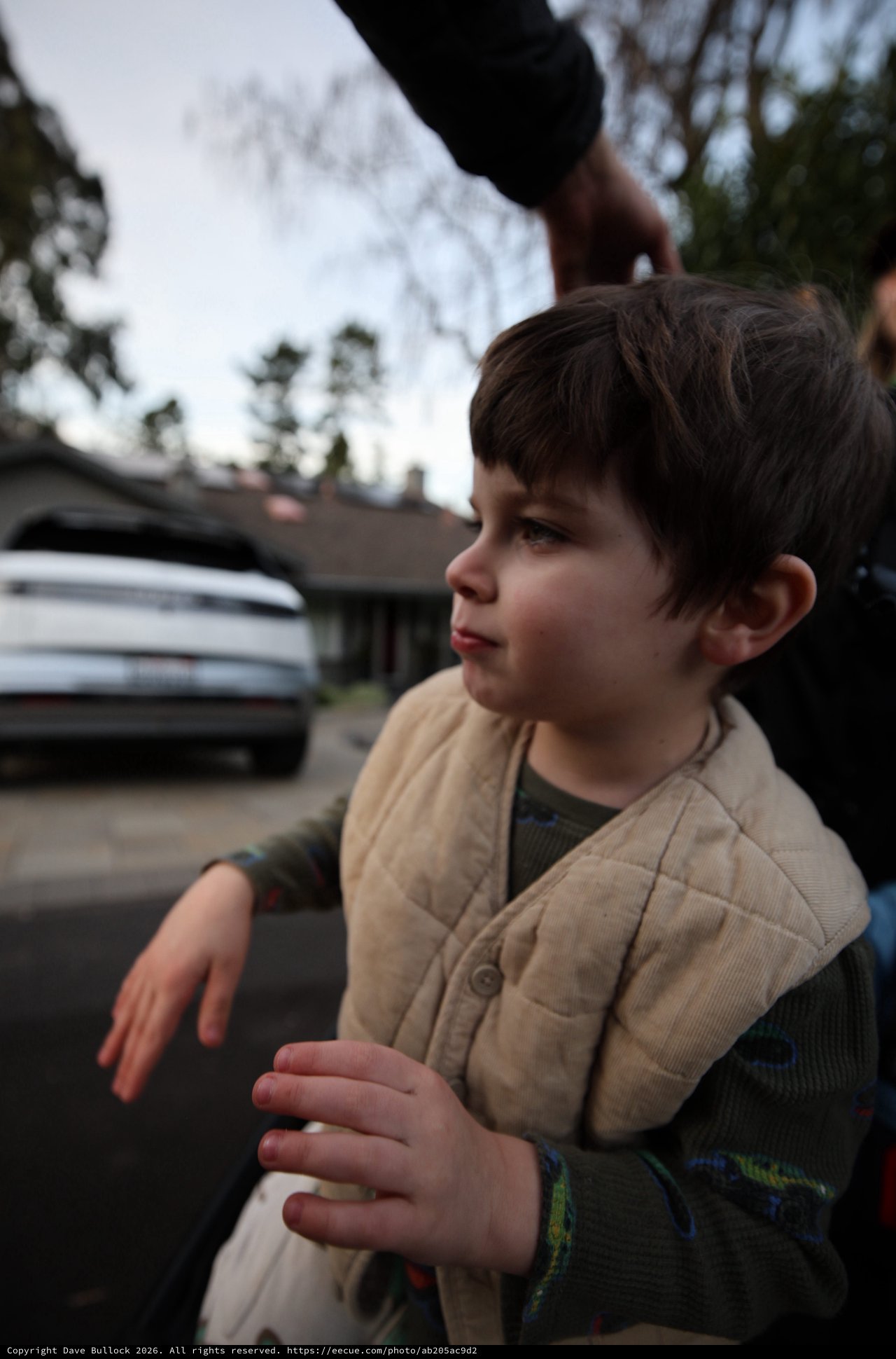 Young Boy Gazing Upward on Sunday Walk