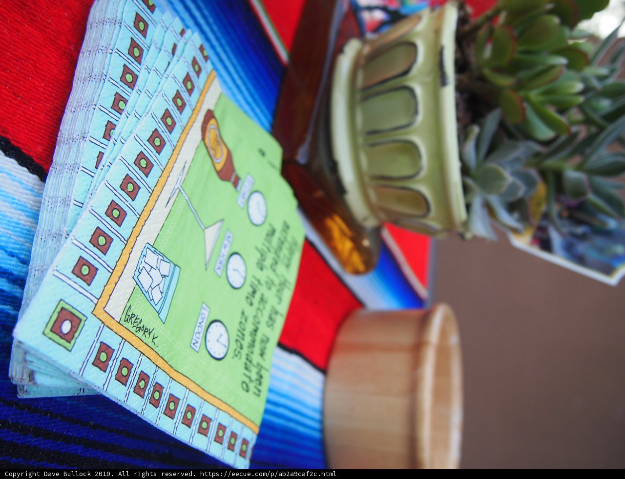 Plant and Card on Table