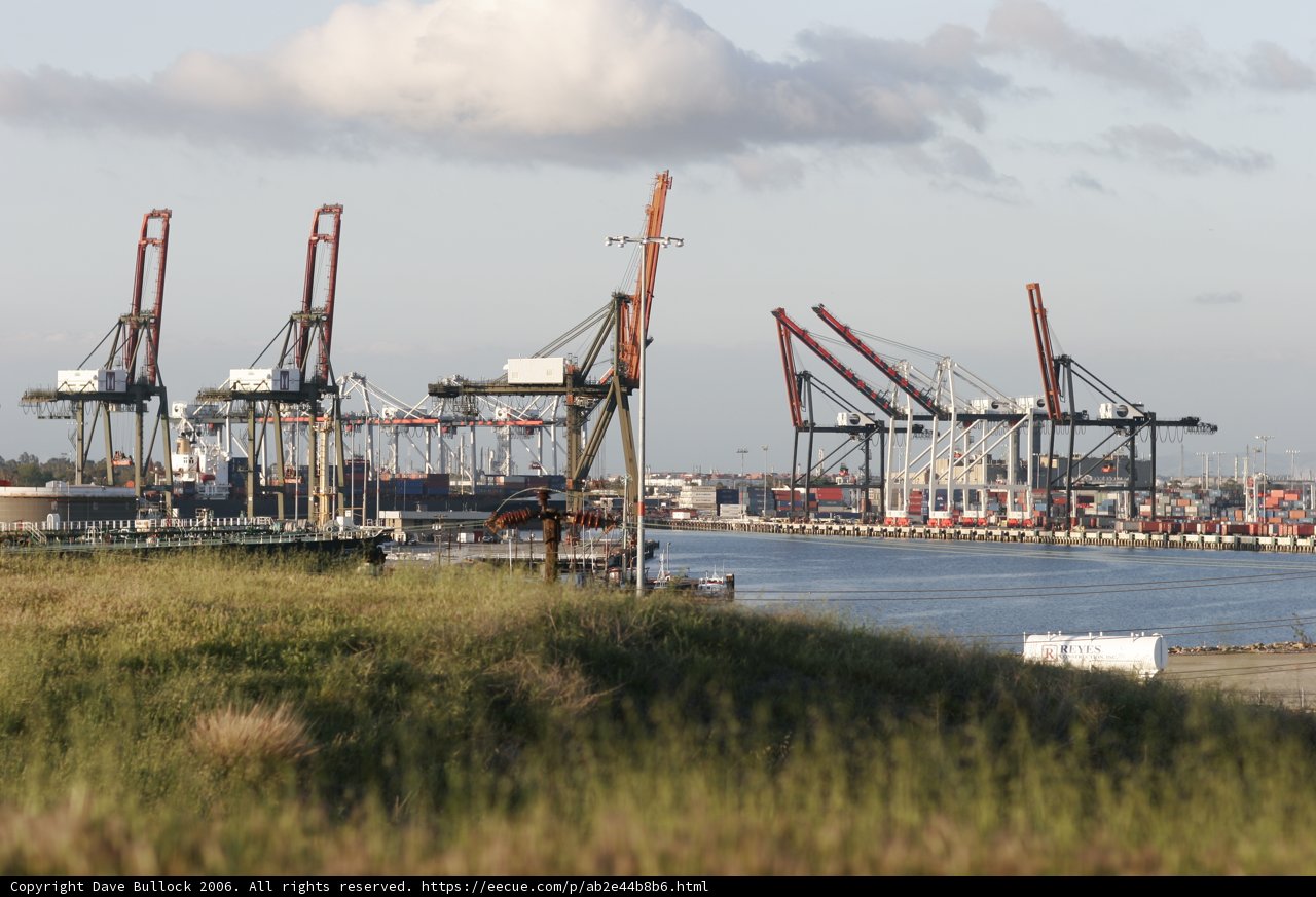 Tranquil Waters at the Harbor