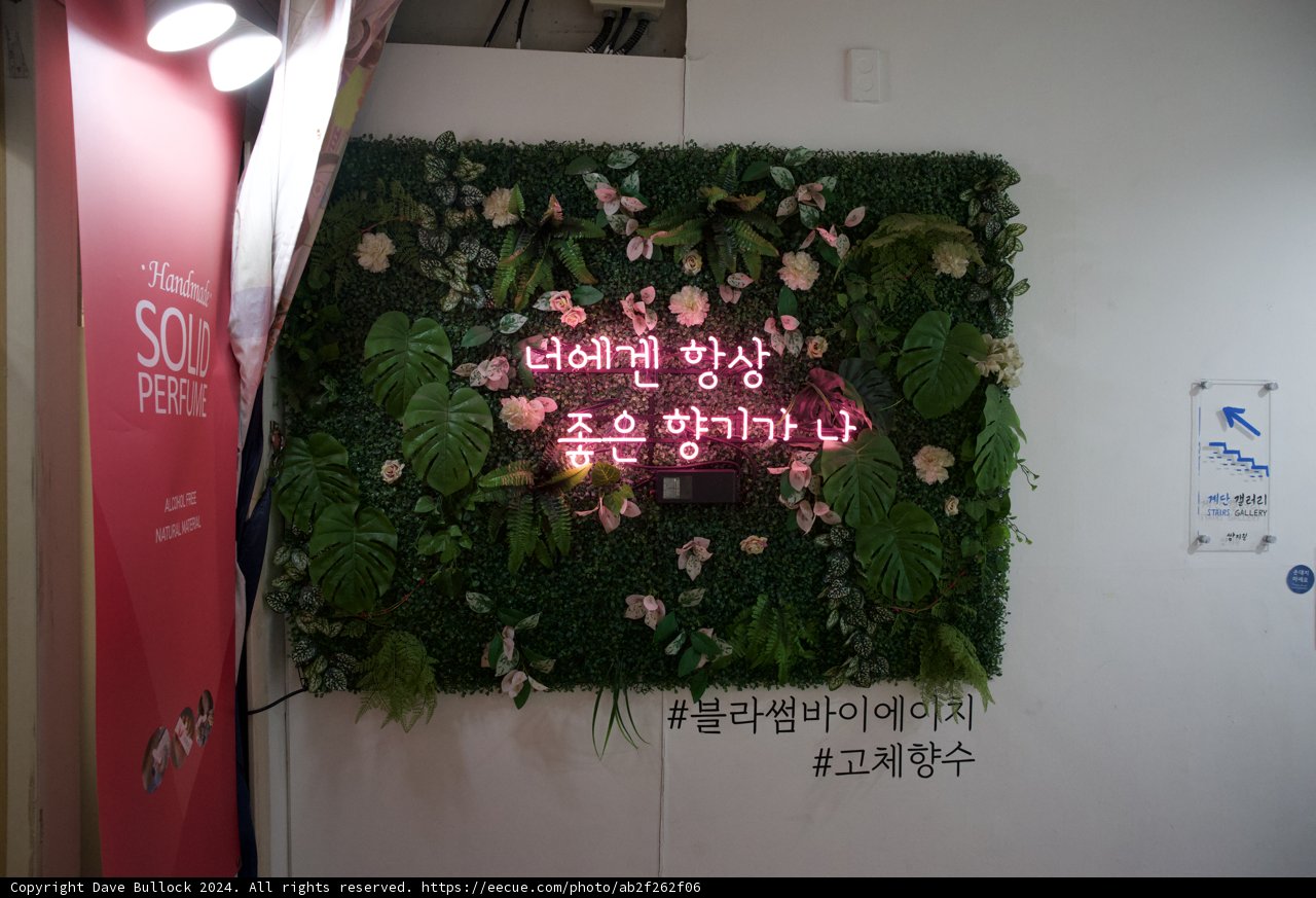 Korean Love Blooms Amidst Pastel Blooms