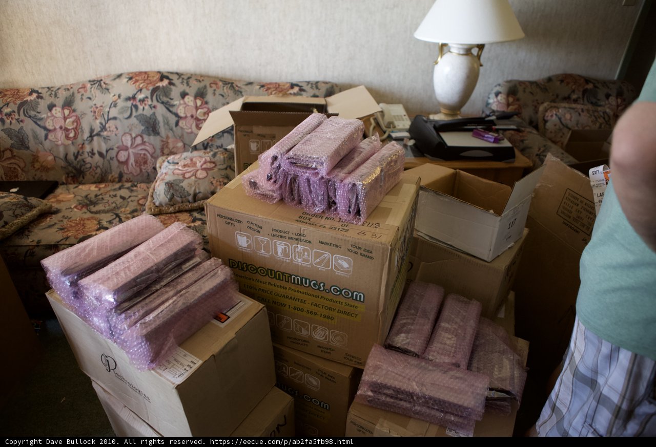 Moving Day Chaos
