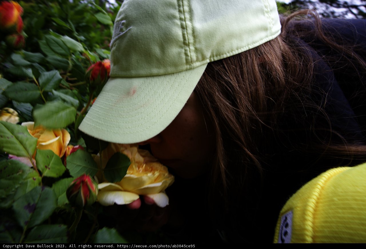 Blooming Adventures at the Botanical Garden