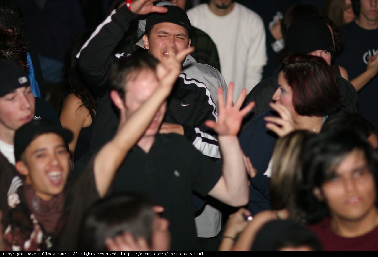 Party Crowd