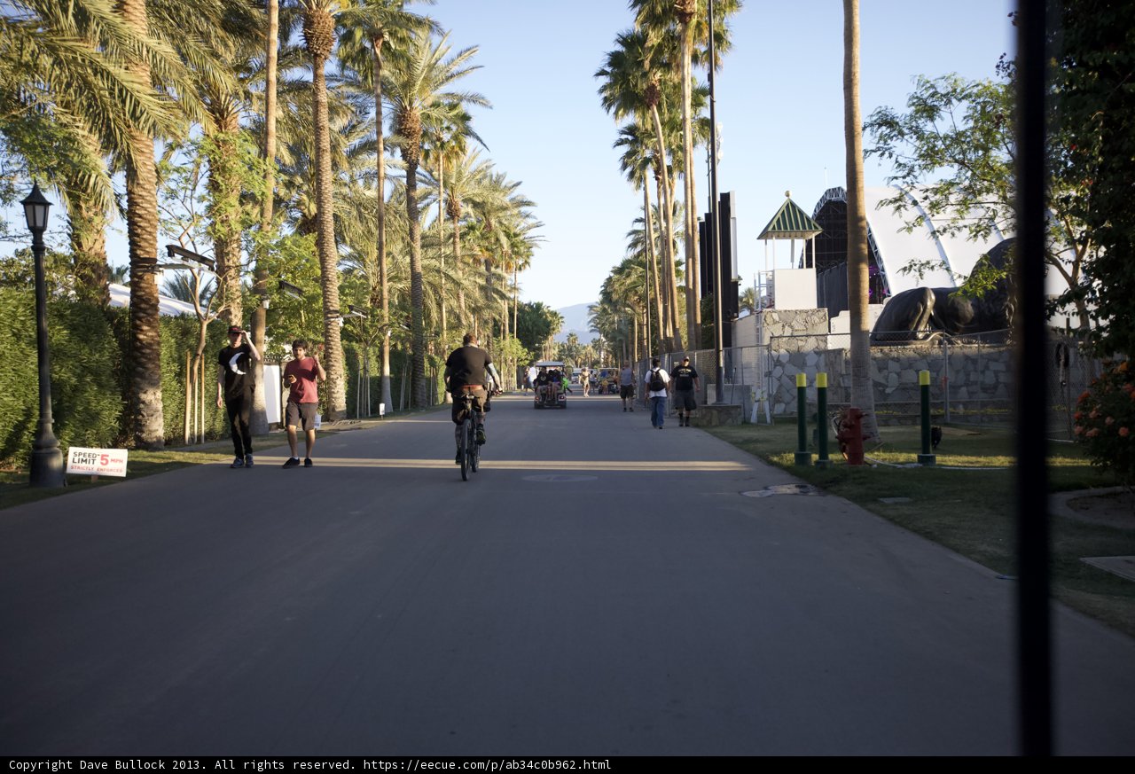 Group Bicycle Ride