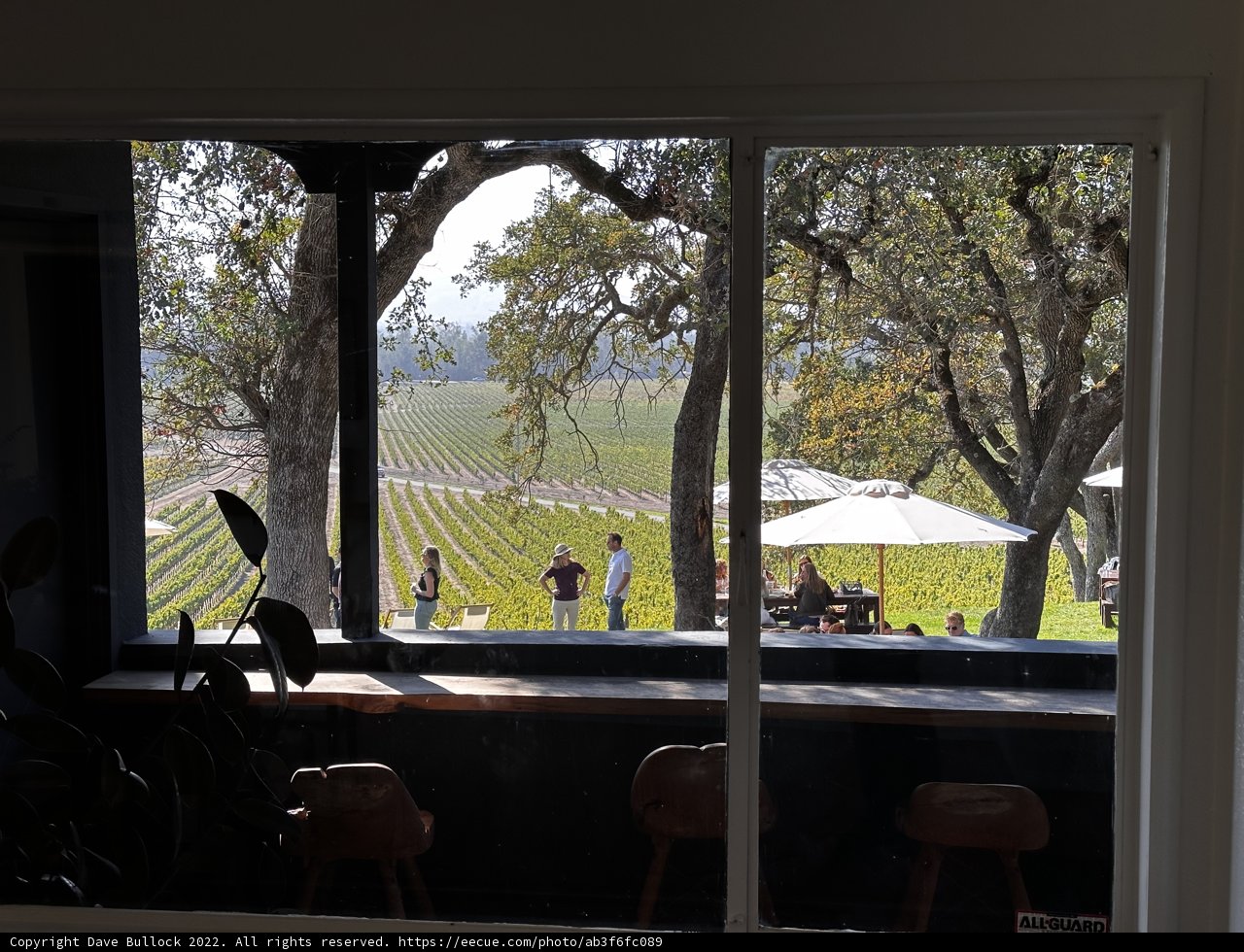 A Window into the Vineyard