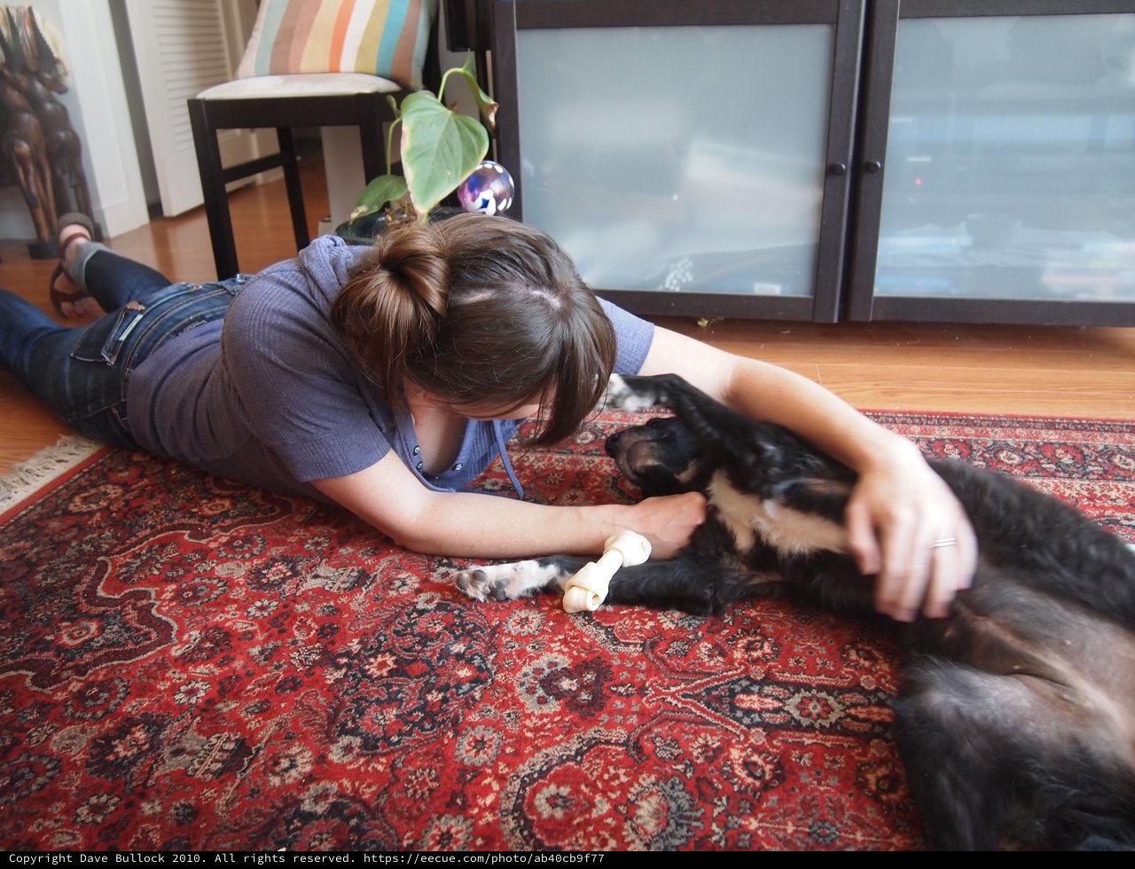 Woman Bonding with Dog on Living Room Floor
