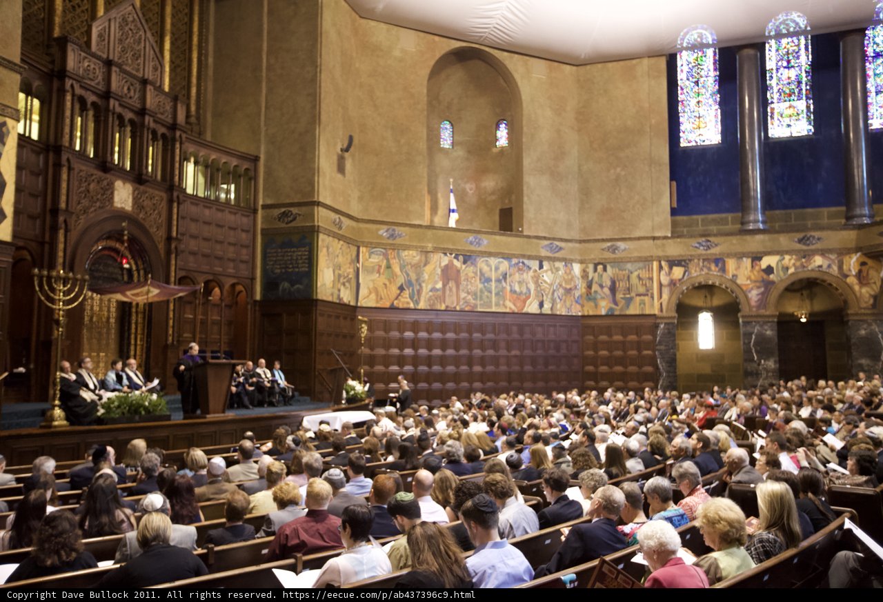 A Crowded Sanctuary