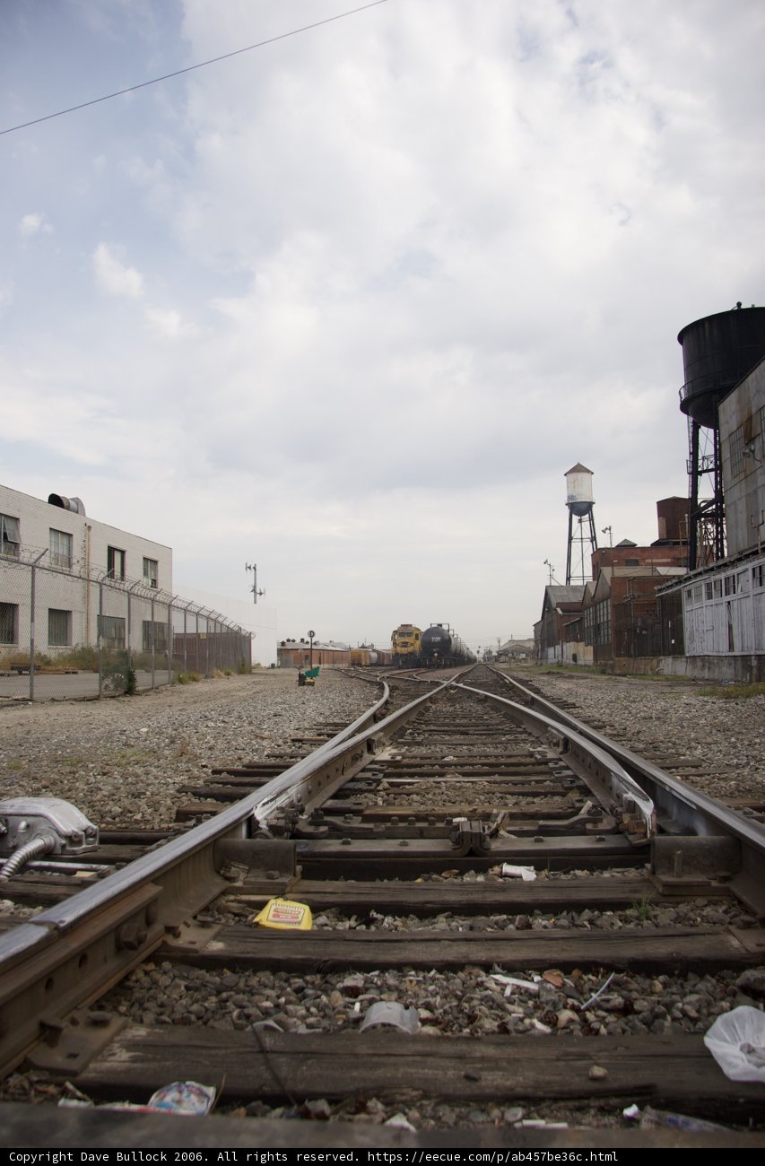 Tranquil Train Tracks