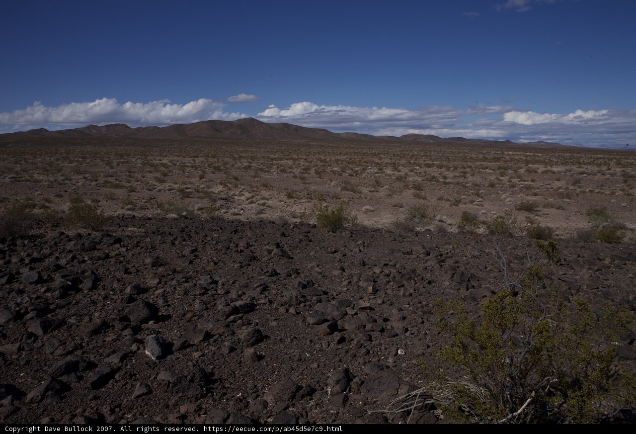 Desert Serenity