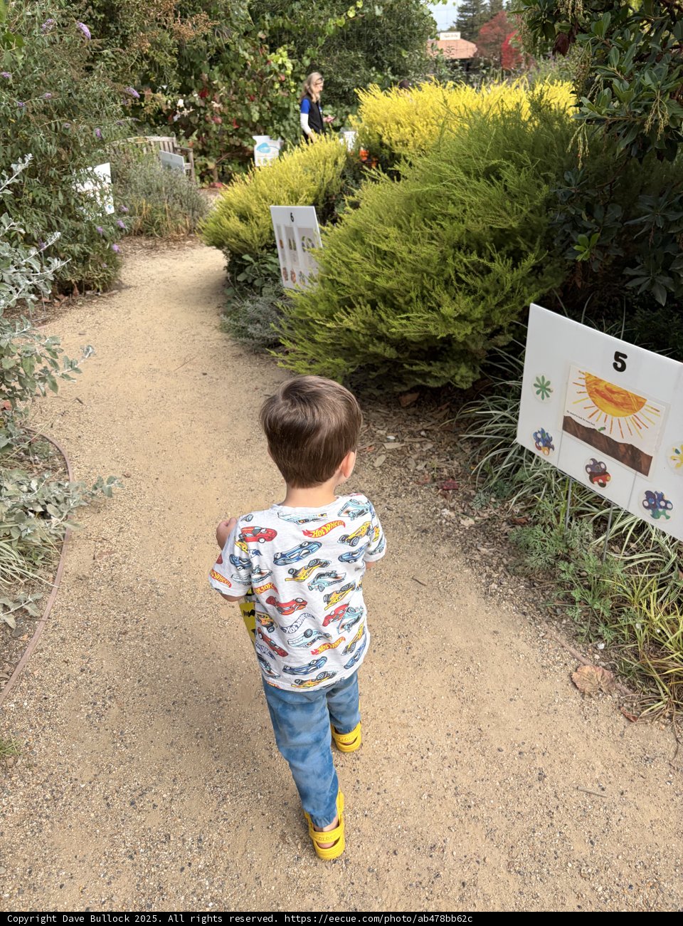 Strolling Through Nature's Path