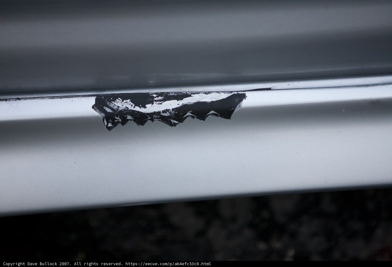Bumper Sticker Beauty