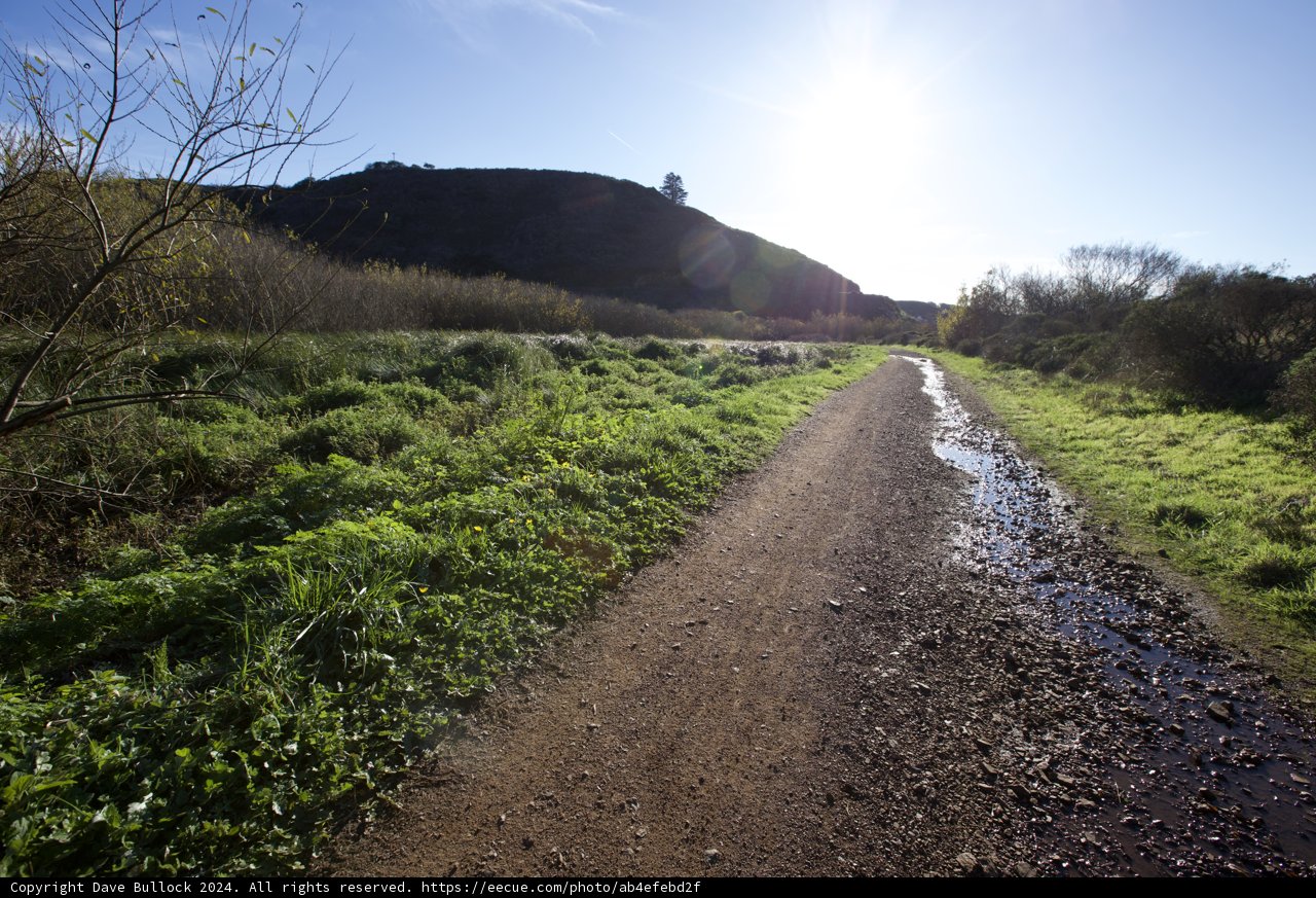 Journey Through Marin Headlands Hill 88: Unpaved Expanses