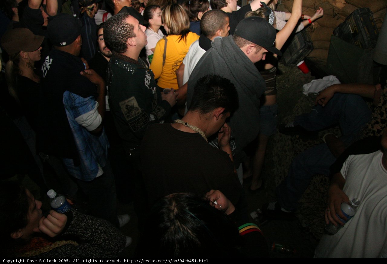 Midnight Crowd