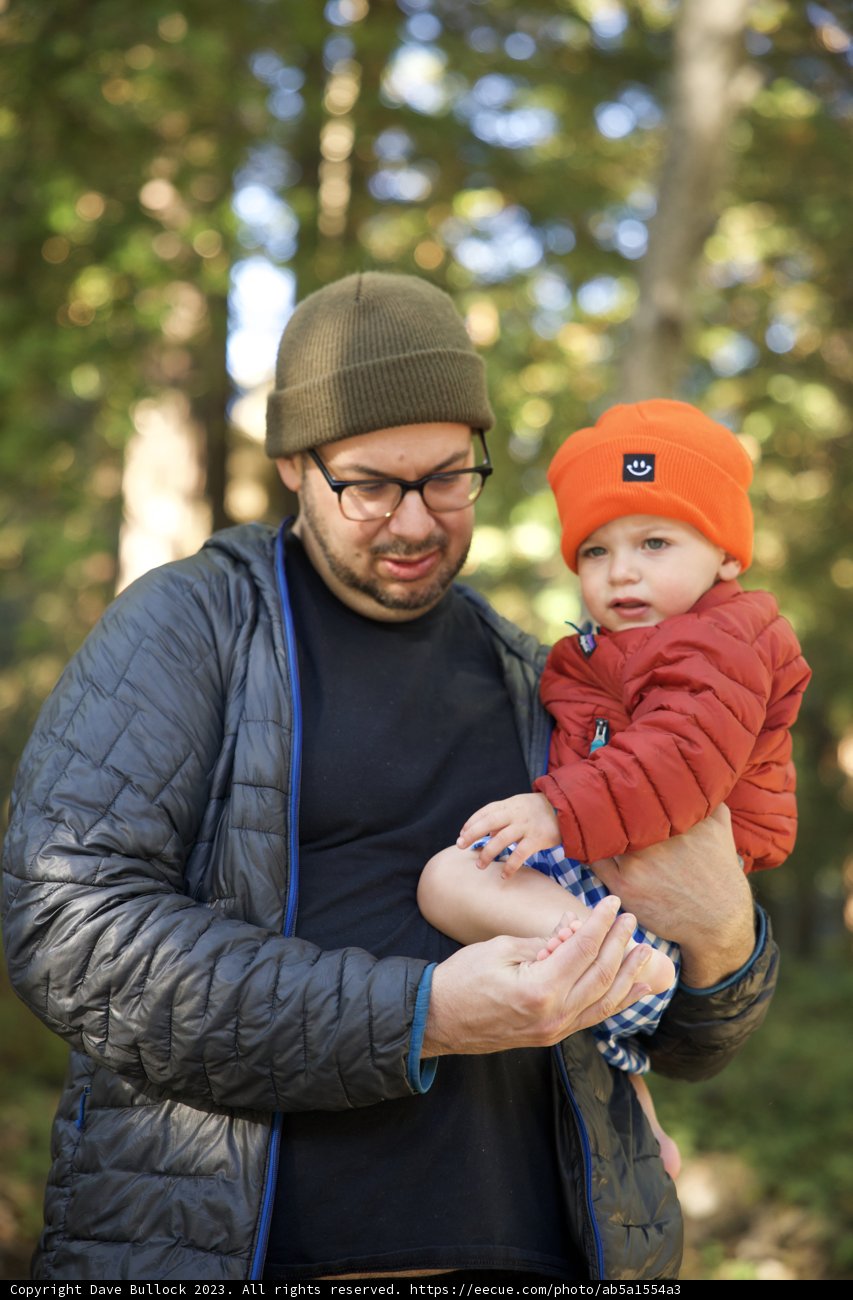Forest Bonding: A Father's Love