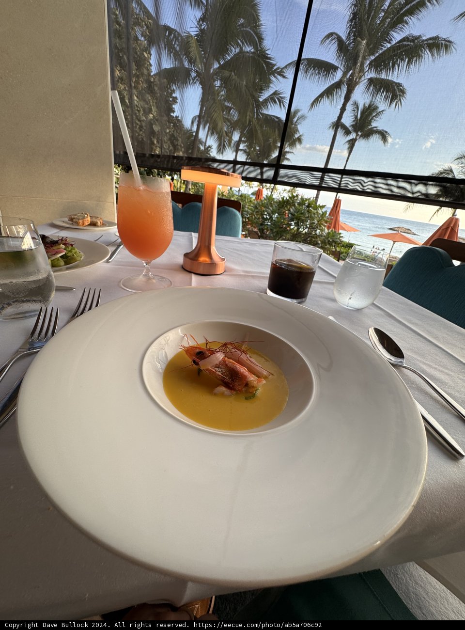 Tropical Indulgence