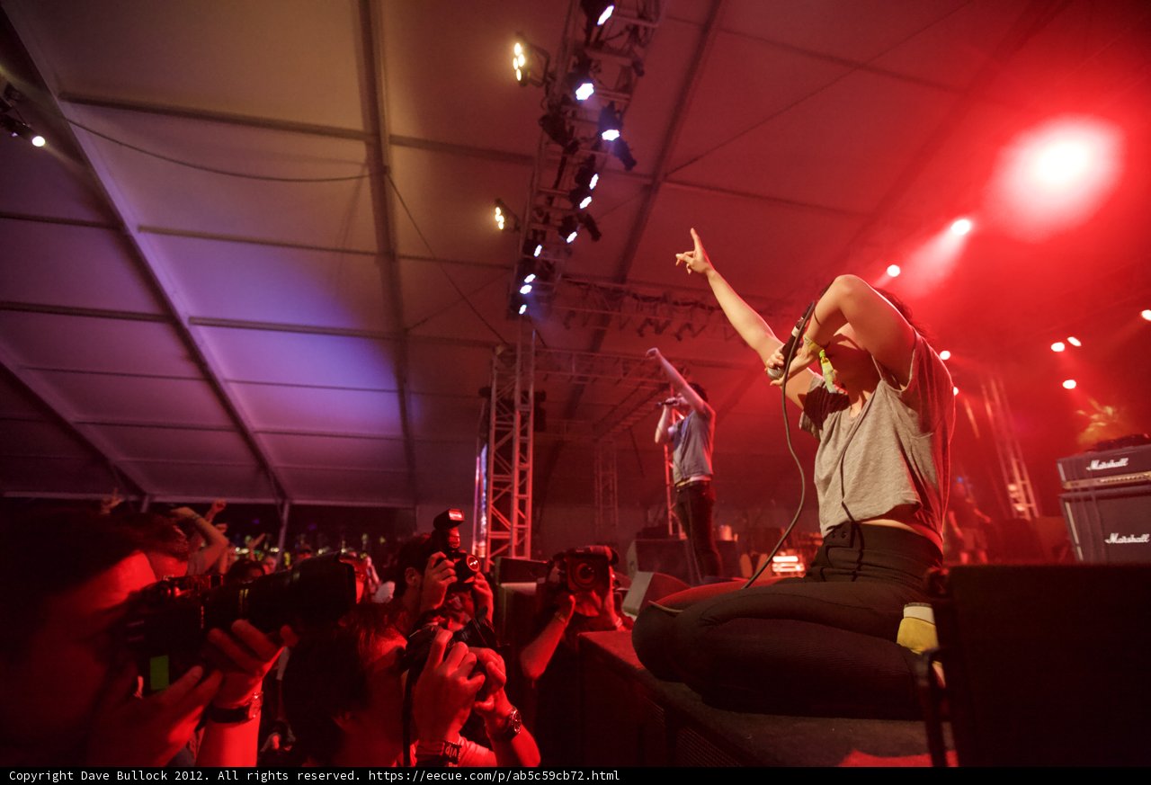 The Crowd Goes Wild