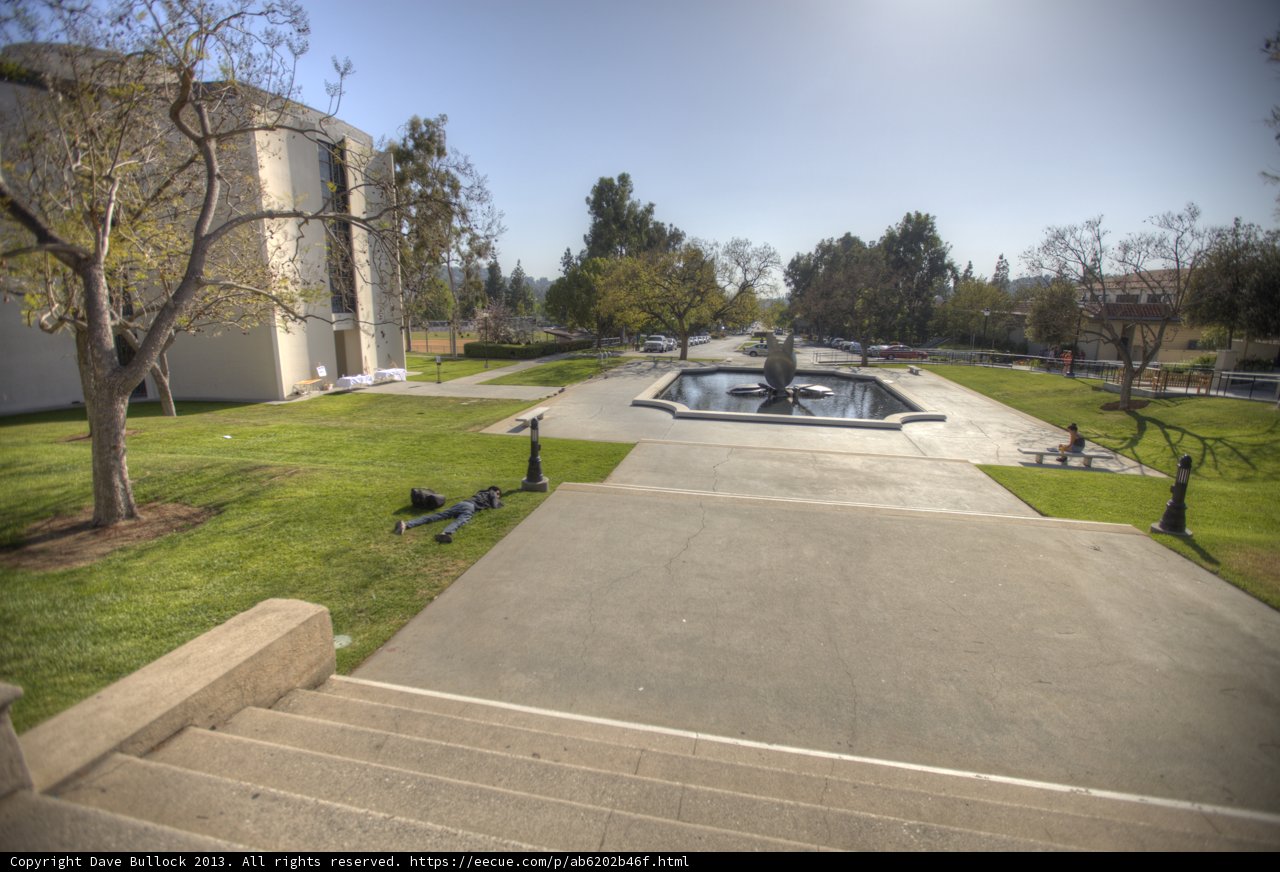 Serenity in the Courtyard
