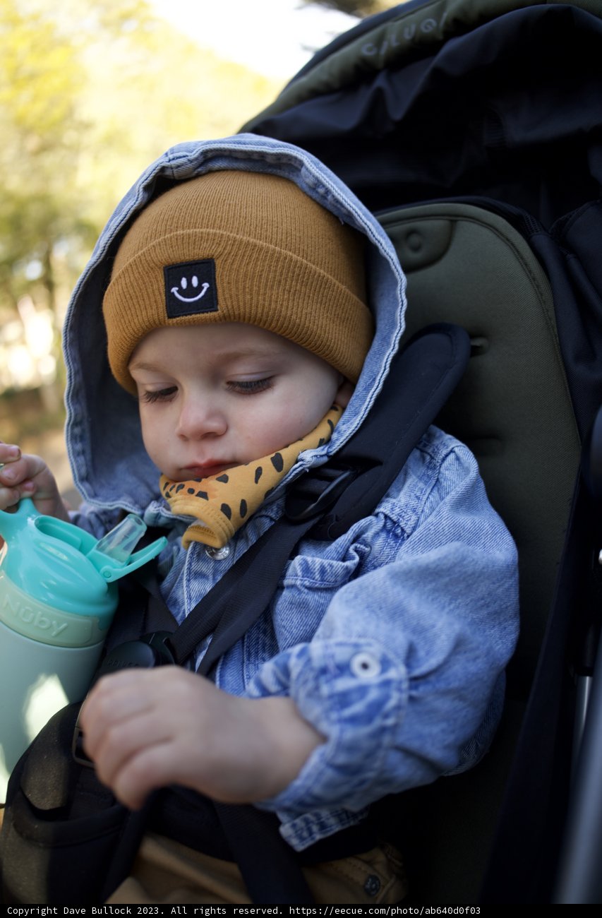 Baby's Day Out at the SF Zoo