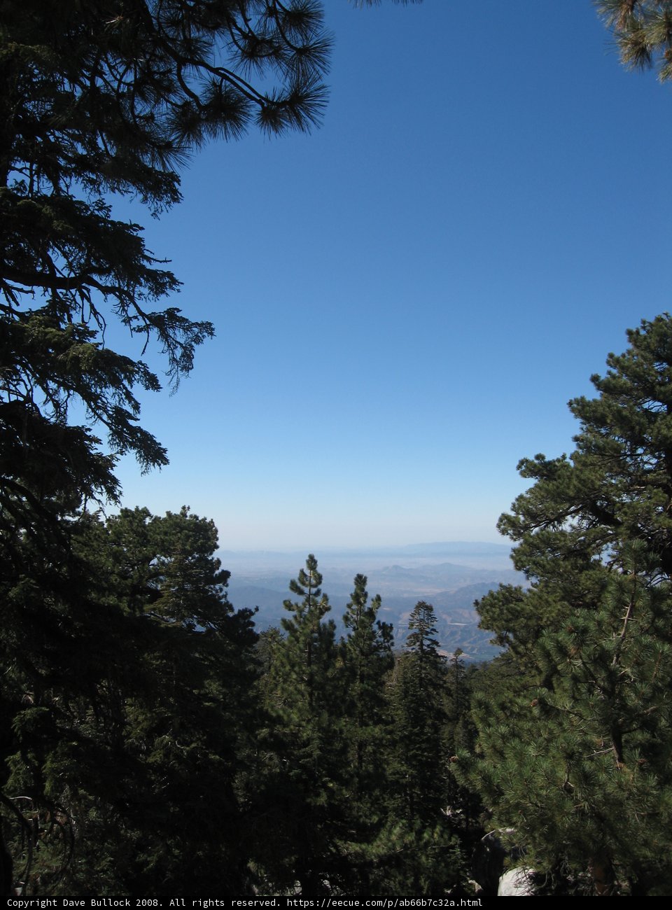 Mountain Majesty