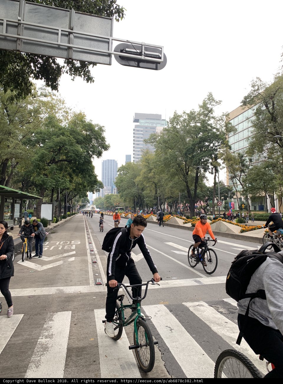 Riding Through the City