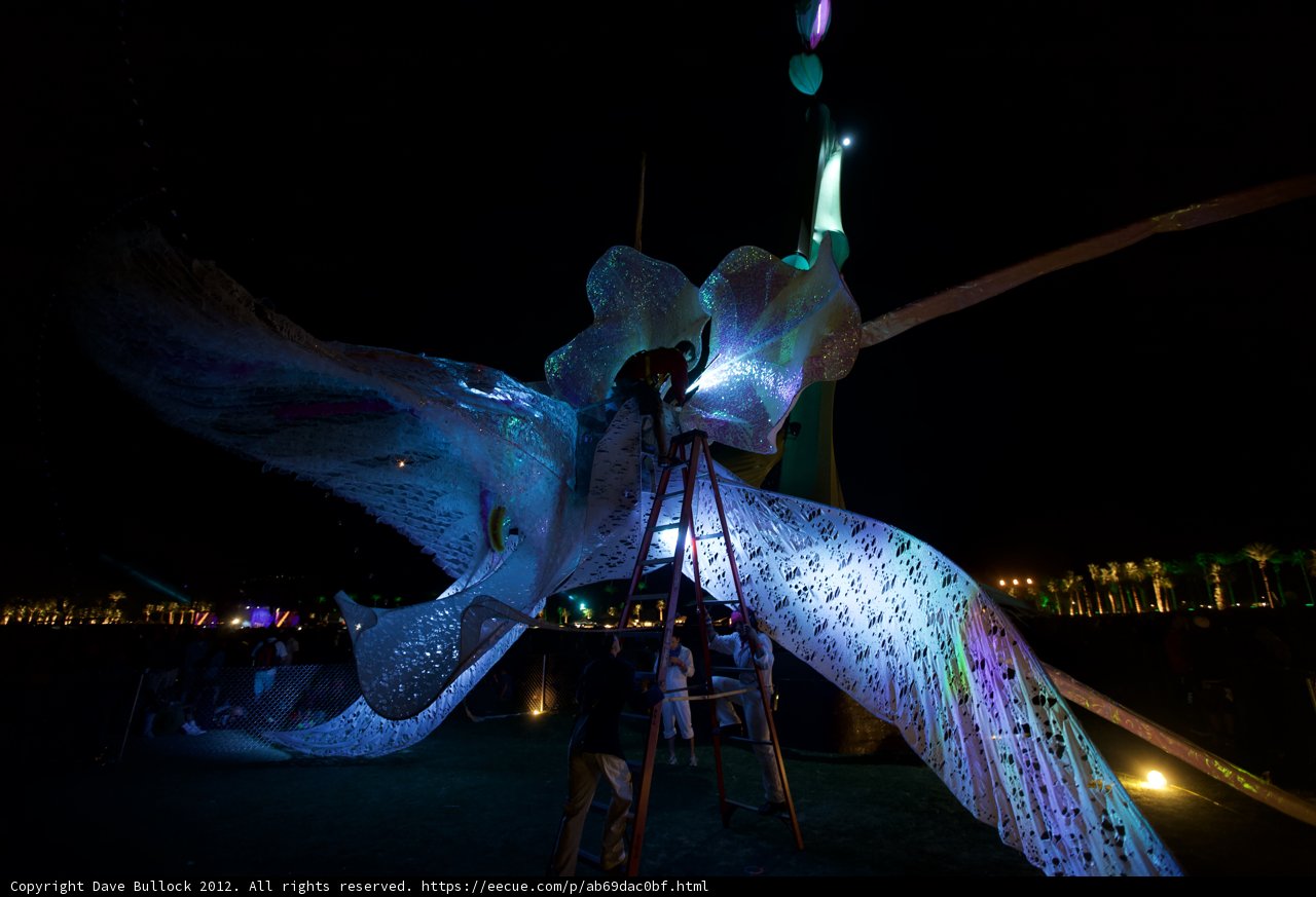 Illuminated Avian Wonder