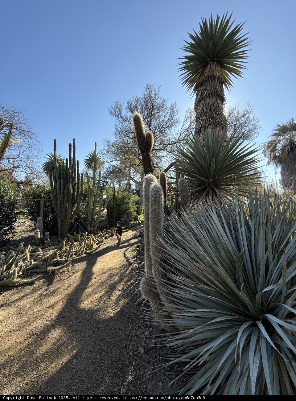 Strolling Through Nature’s Sculptures