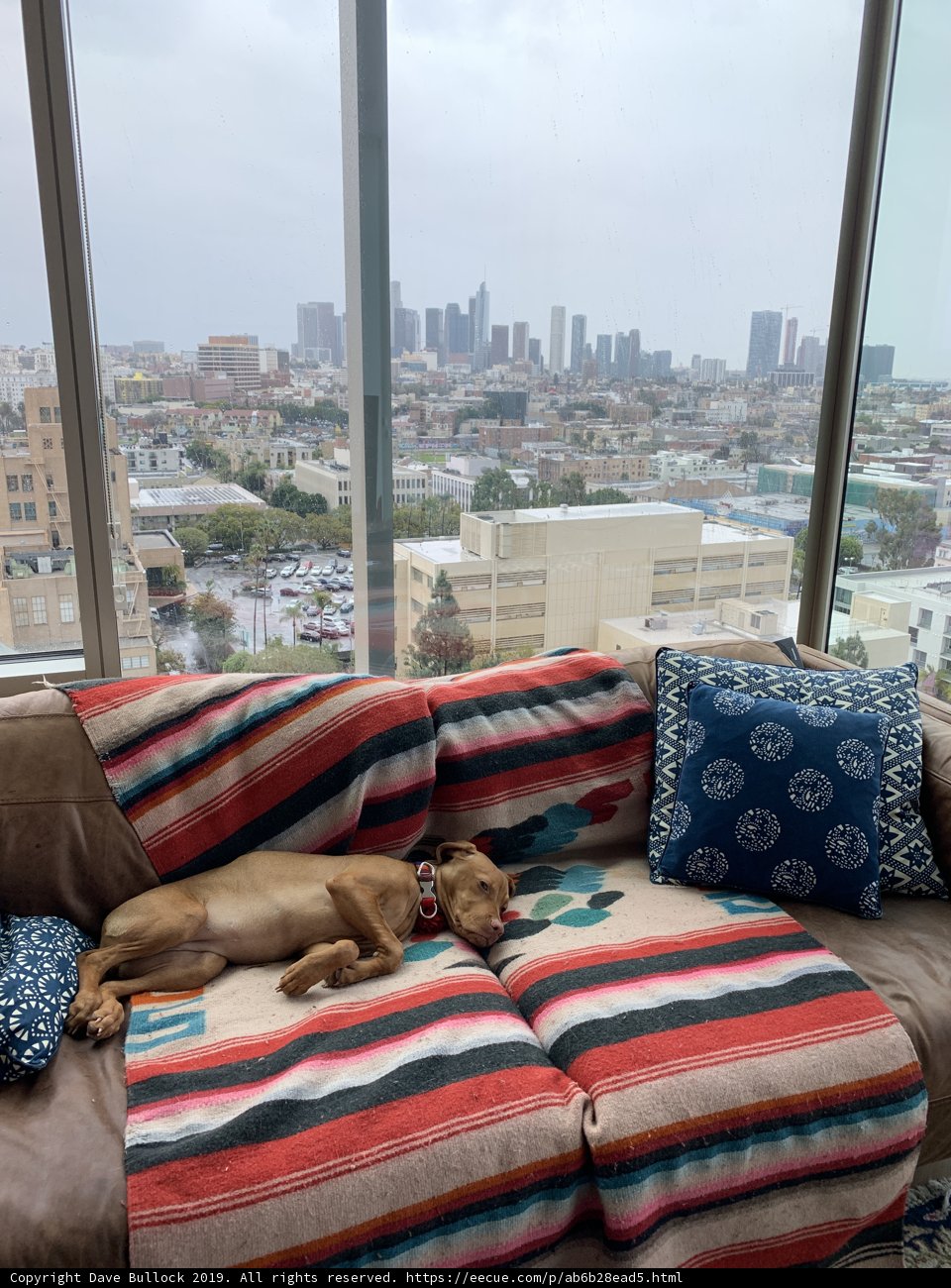 City View Companion