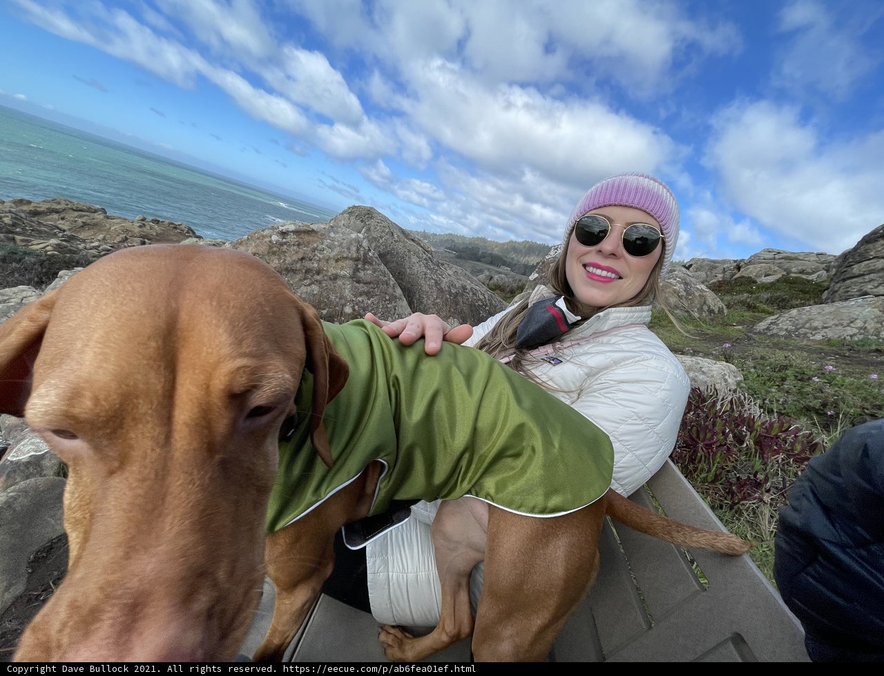 A Sunny Day with My Best Friend by the Ocean