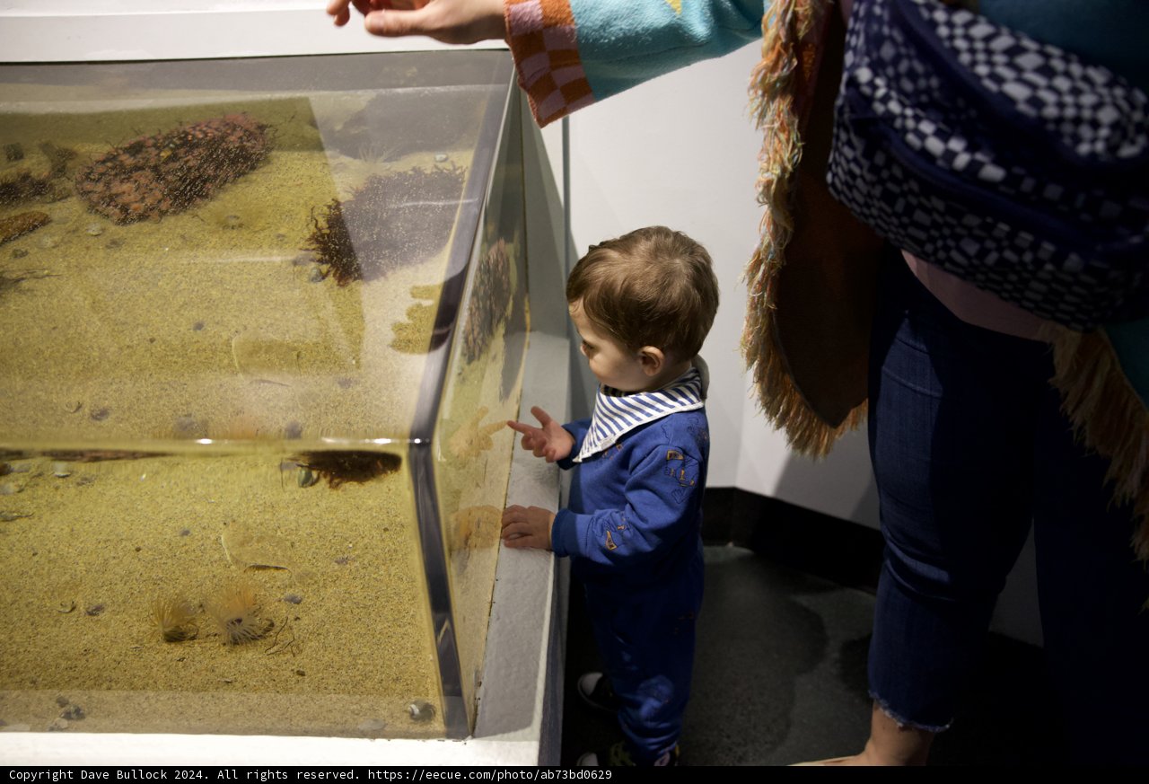 Underwater Exploration: A Child's Fascination