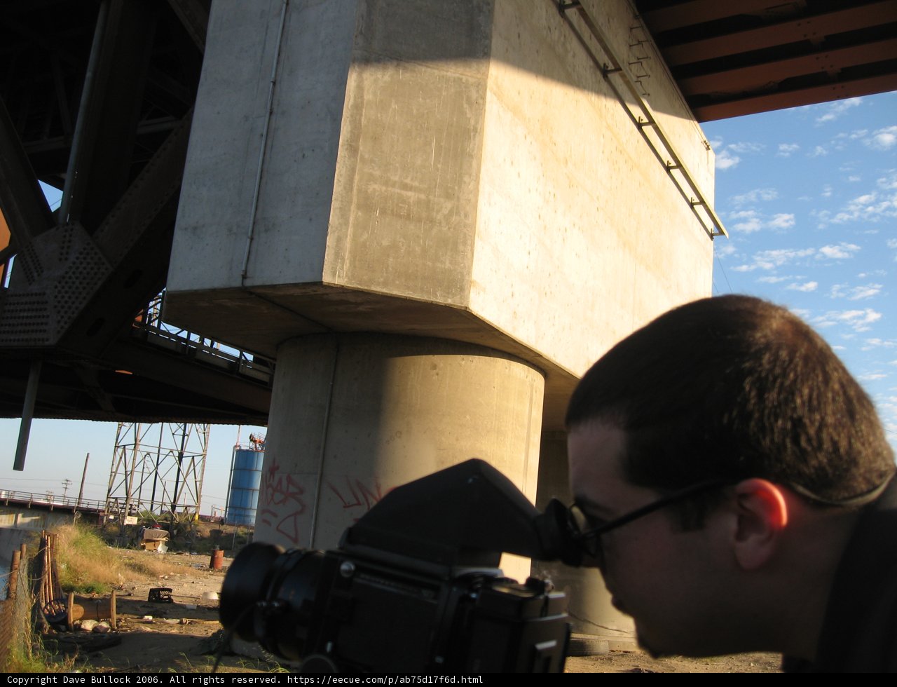Capturing the Perfect Shot