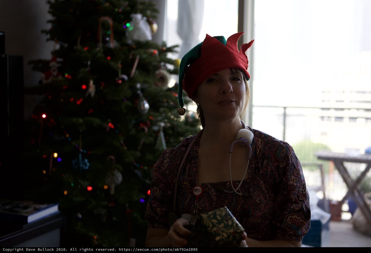 Penelope in Elf Hat Beside Christmas Tree