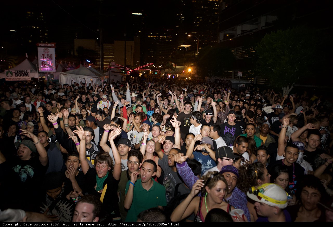 Nocturnal Crowd Goes Wild