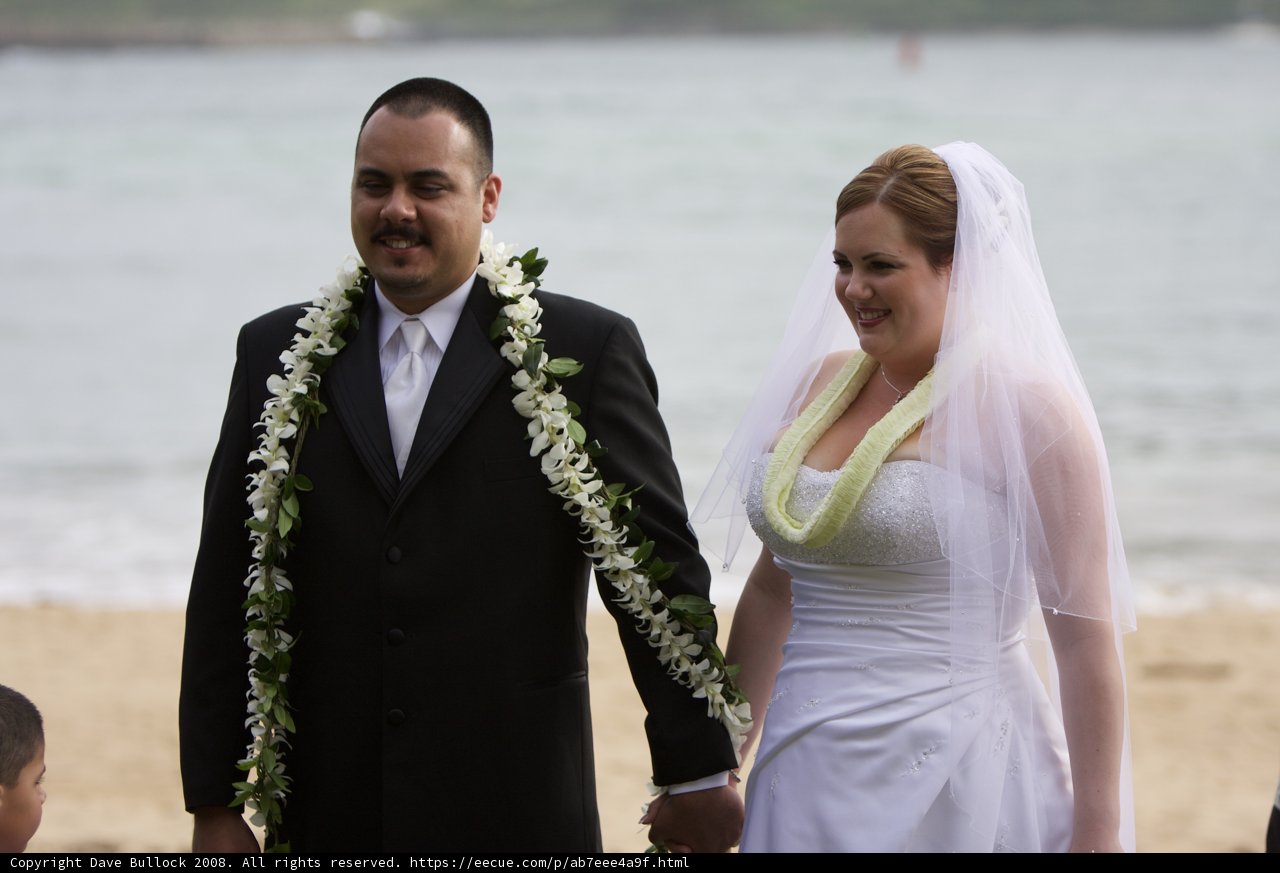 Beach Wedding Bliss