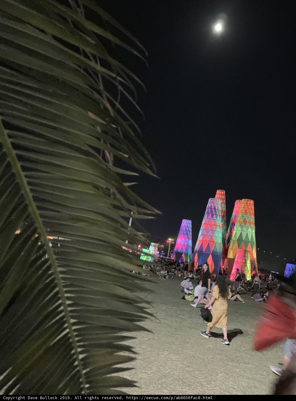 Nighttime Beach Gathering
