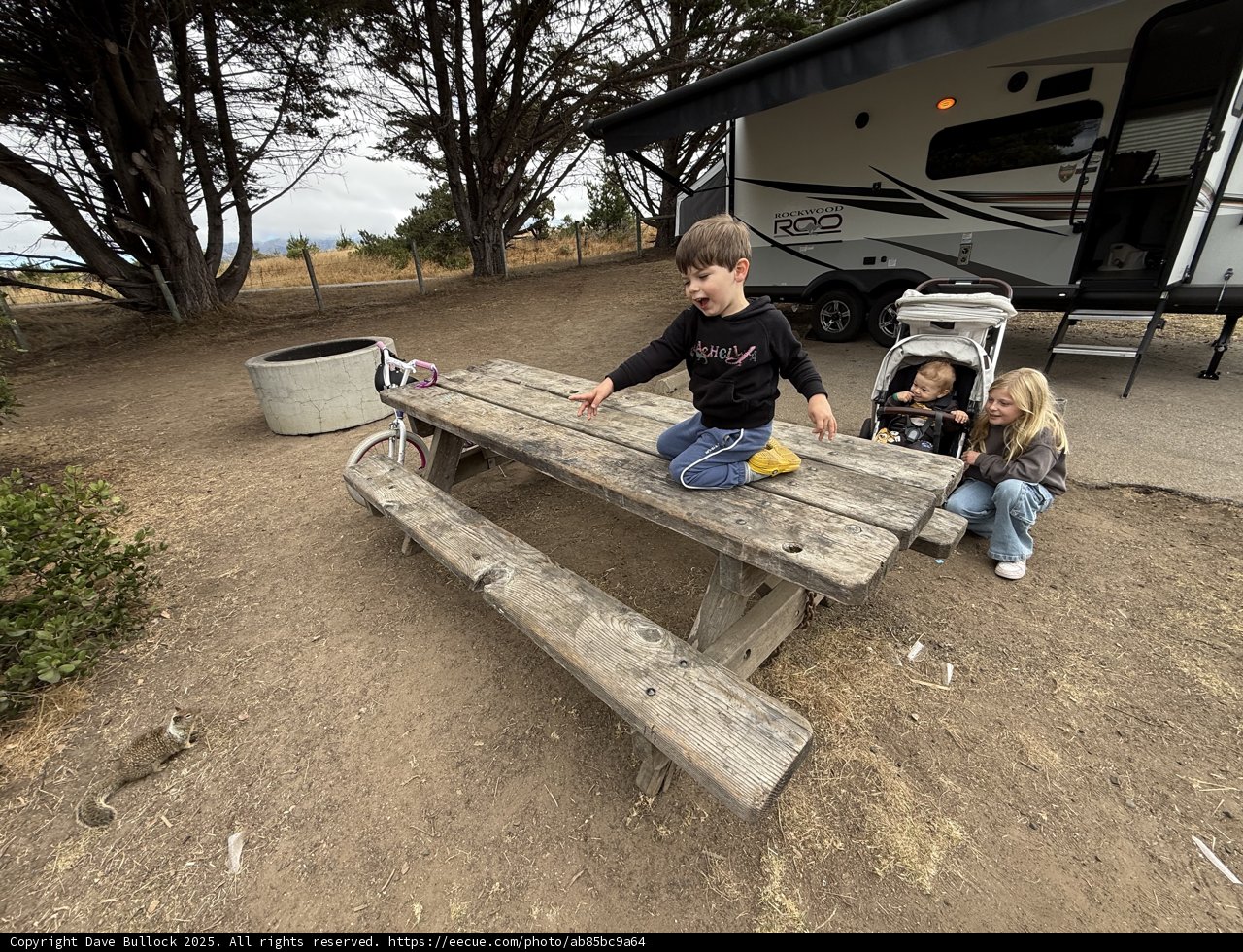 Summer Adventures in Cambria