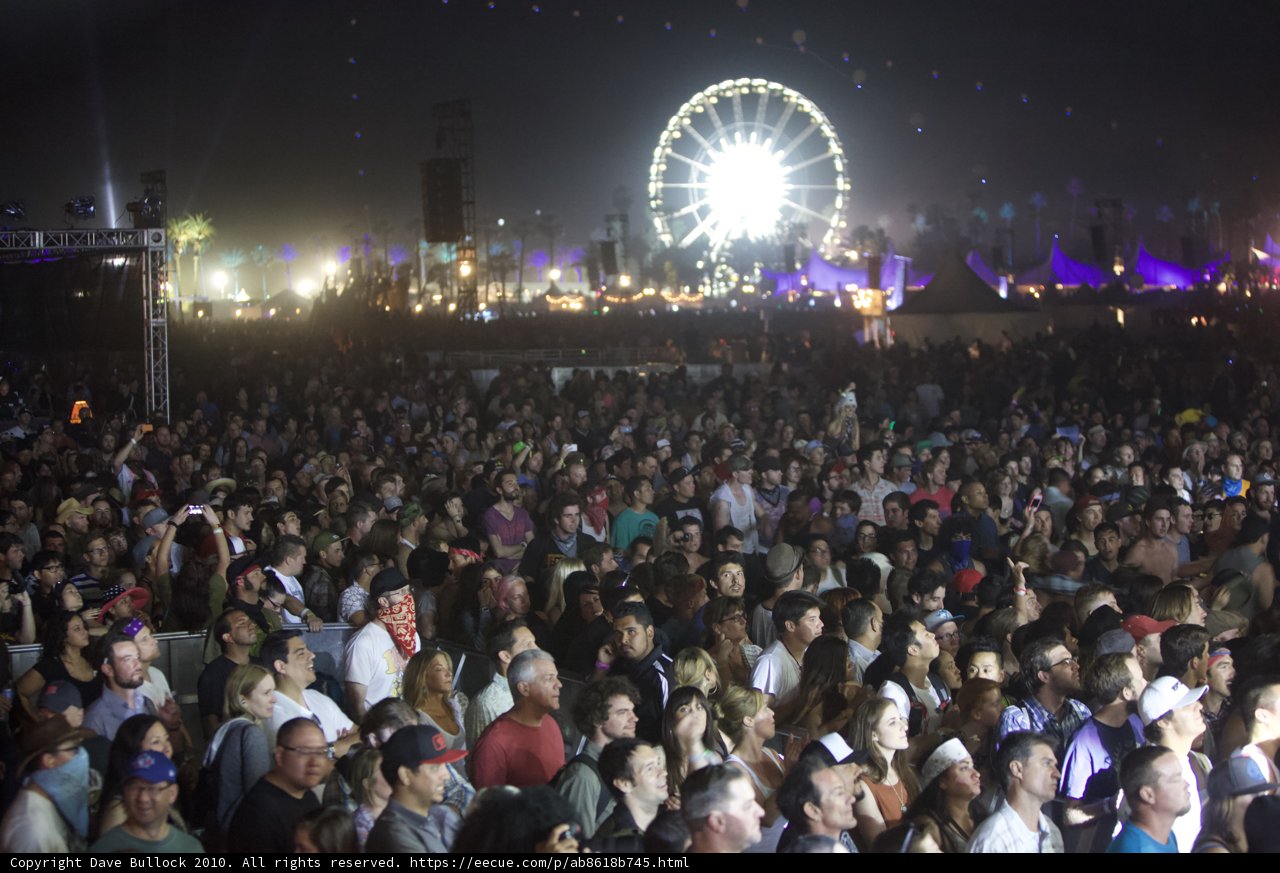 Coachella Nights