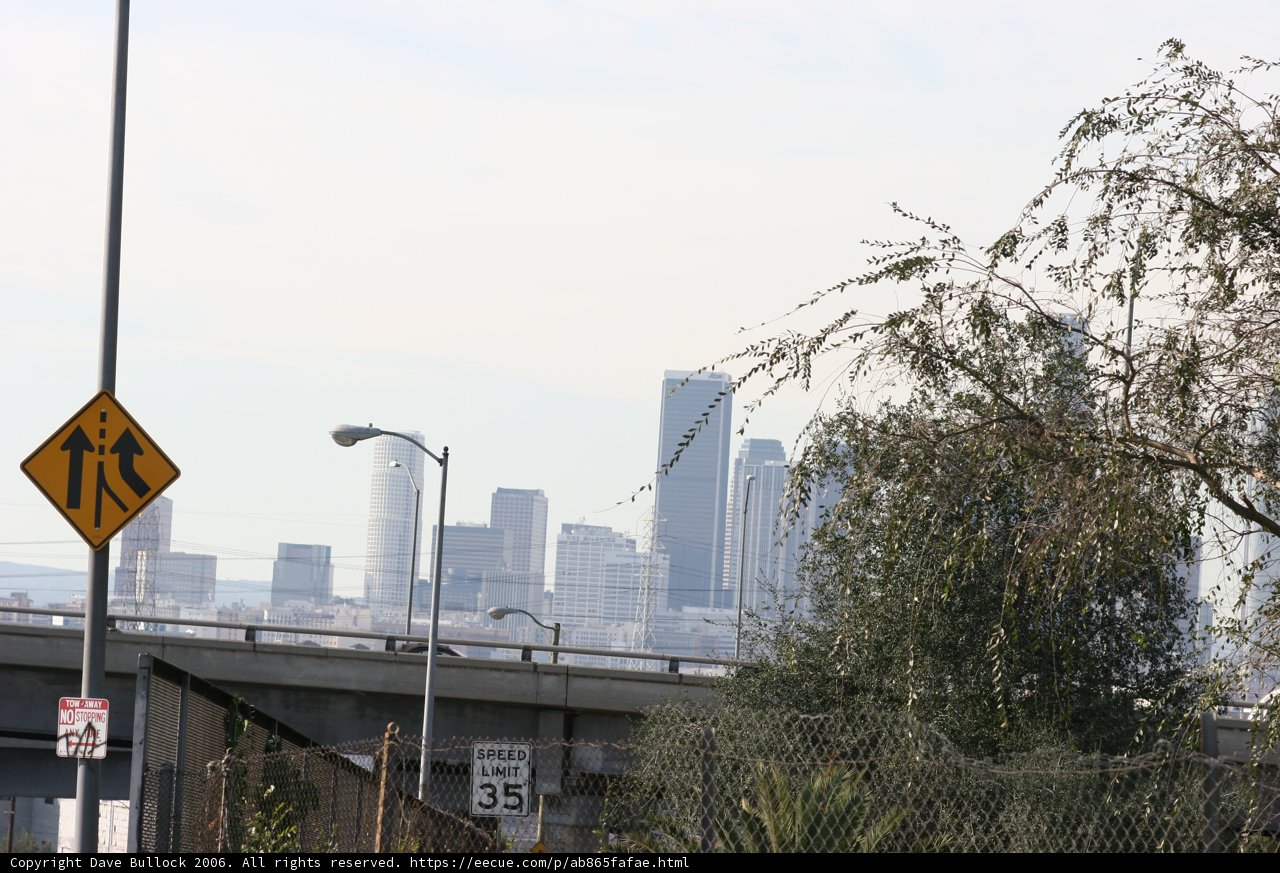 Serenity in the Urban Jungle