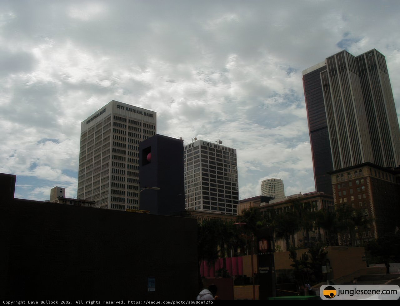 The Urban Jungle of Los Angeles