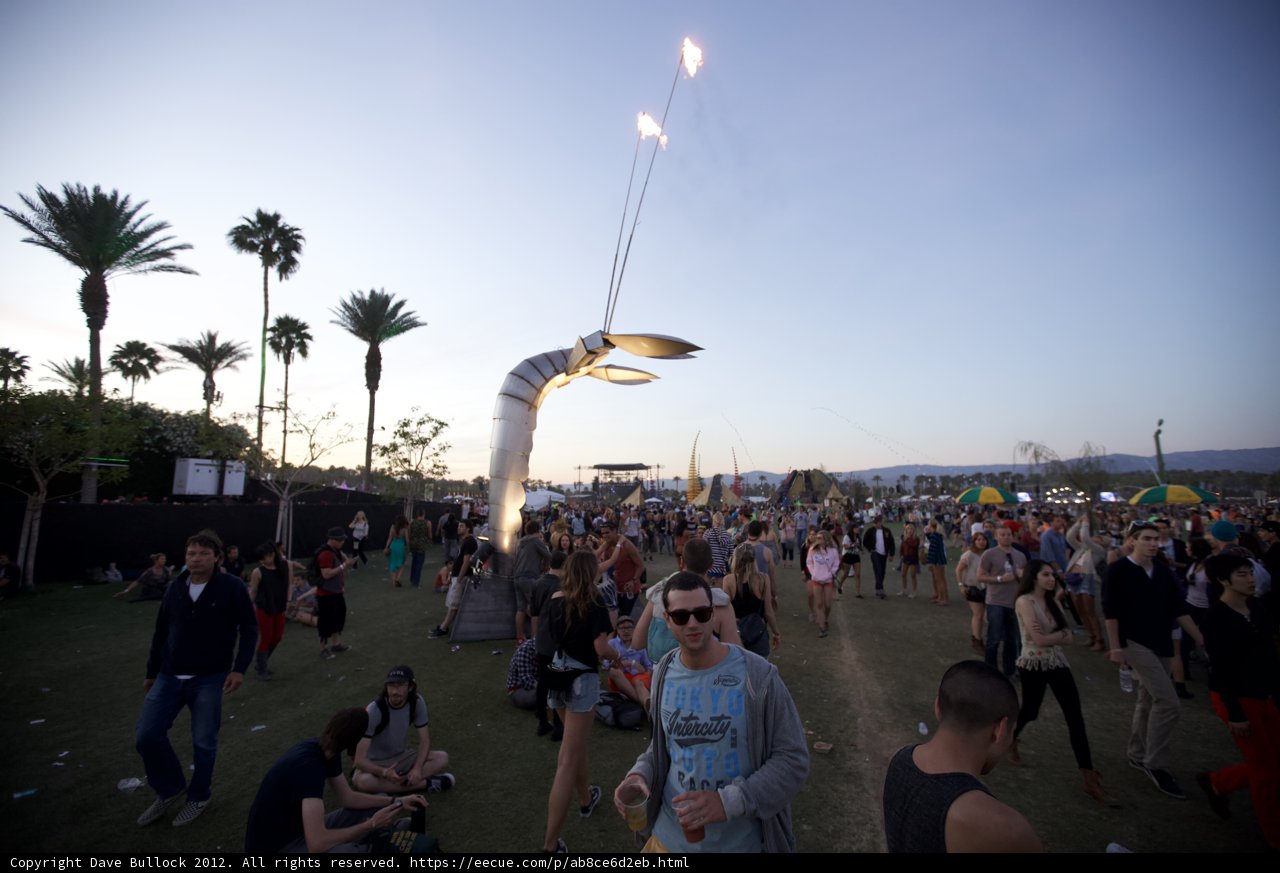 Coachella 2012: Jamming under Palm Trees